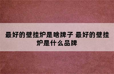 最好的壁挂炉是啥牌子 最好的壁挂炉是什么品牌